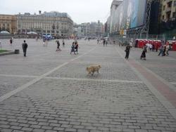 Scènes de rue près du Kremlin à Moscou