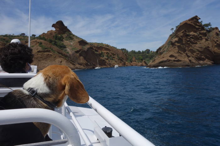 — Calanque de Figuerolles — Rocher du Capucin dit du chien — Sortie du port de La Ciotat —