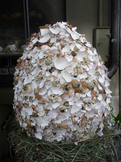 Coquille d'œuf faite de coquilles d'œufs