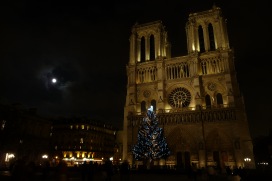 — Cathédrale Notre Dame depuis le parvis - Paris —