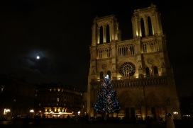 — Cathédrale Notre Dame depuis le parvis - Paris —