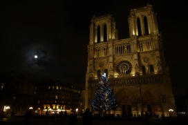 — Cathédrale Notre Dame depuis le parvis - Paris —