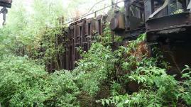 — Végétation envahissant le site de la cokerie - Usine Röchling - Völklingen en Saarland (Allemagne) —  — Site classé Patrimoine mondial de l'Unesco depuis Août 1995 —