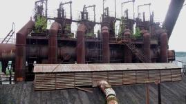 — Végétation envahissant le site de la cokerie - Usine Röchling - Völklingen en Saarland (Allemagne) —  — Site classé Patrimoine mondial de l'Unesco depuis Août 1995 —