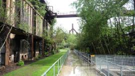 — Végétation envahissant le site de la cokerie - Usine Röchling - Völklingen en Saarland (Allemagne) —  — Site classé Patrimoine mondial de l'Unesco depuis Août 1995 —