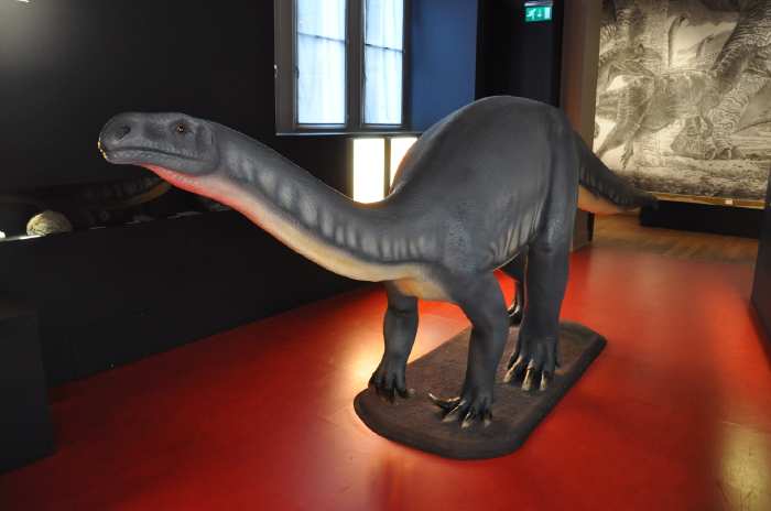 — Représentation d'un dinosaure - musée d'histoire naturelle (Naturhistorisches Museum) - Augustinergasse 2 - Bâle/Basel —