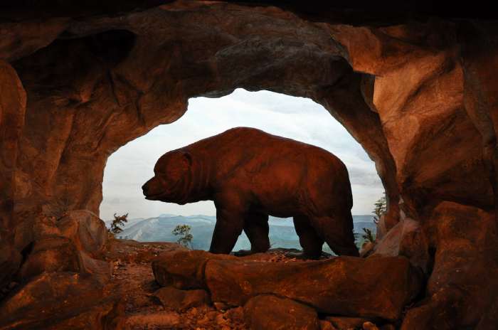 — Ours des cavernes - musée d'histoire naturelle (Naturhistorisches Museum) - Augustinergasse 2 - Bâle/Basel —