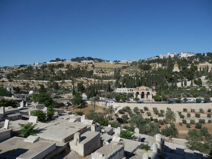 — Mont des oliviers vu depuis la Porte Dorée — Jérusalem —