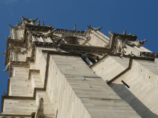 Cathédrale Notre-Dame de Paris