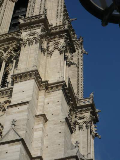 Cathédrale Notre-Dame de Paris