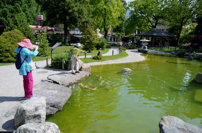 — Jardin Japonais - Interlaken —