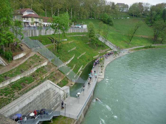 — Parc aux ours en bordure de l'Aar - Bern/Berne —