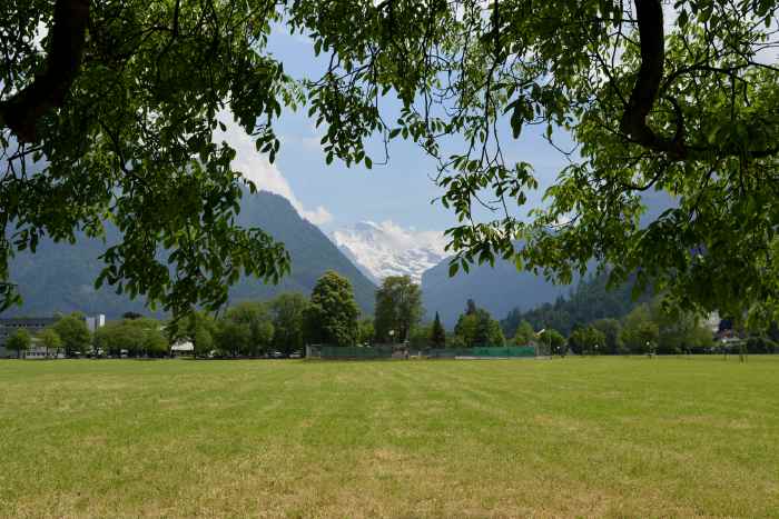 — Le Jungfrau vu depuis Interlaken — Interlaken —