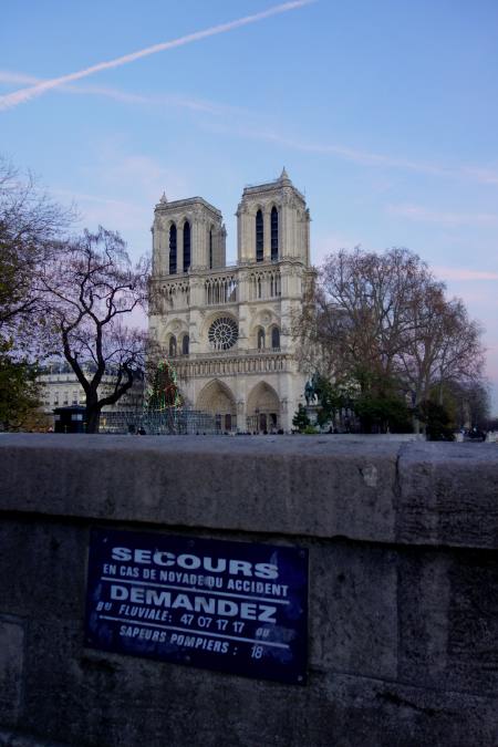 Cathédrale Notre Dame vue du pont sur les quais St Michel - Paris