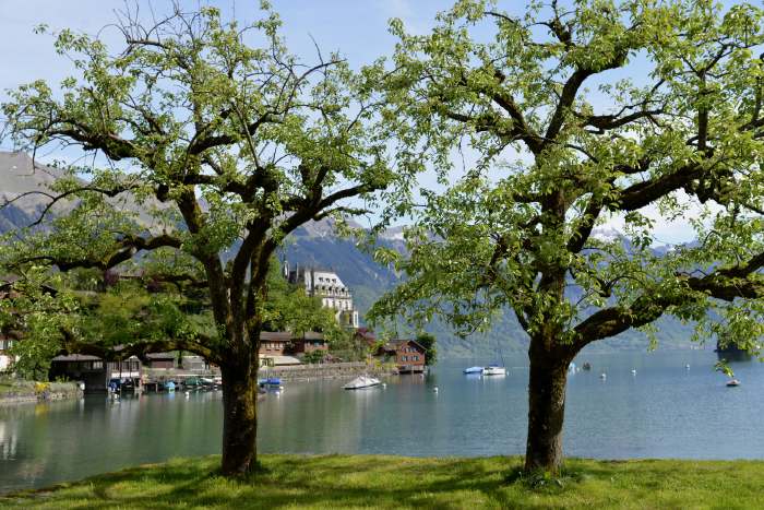 Le Seeburg vu depuis la rive du lac de Brienz — Iseltwald