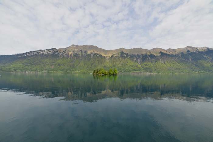 Bosquet d'arbres sur un îlot vu depuis la rive du lac de Brienz — Iseltwald