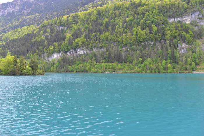 La rive du lac de Brienz vue depuis le "Jungfrau" — Iseltwald