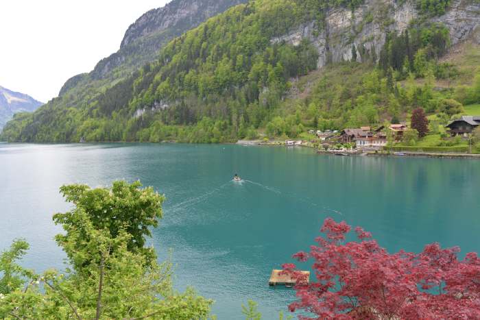 La rive du lac de Brienz vue depuis Le Seeburg — Iseltwald