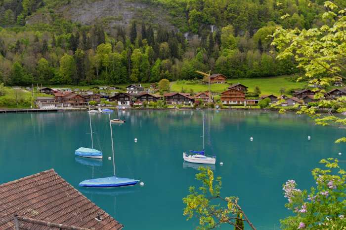 — La rive du lac de Brienz vue depuis Le Seeburg — Iseltwald —