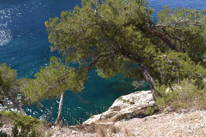 — Calanques de Marseille à Cassis vues depuis le littoral —