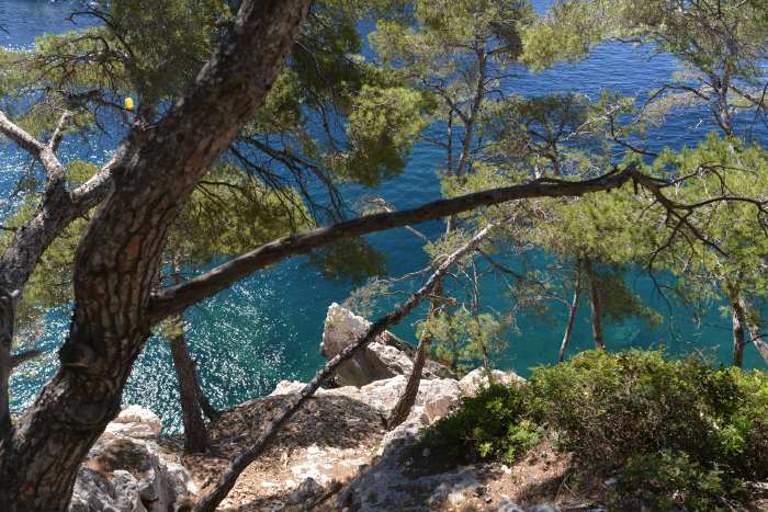 — Calanques de Marseille à Cassis vues depuis le littoral —