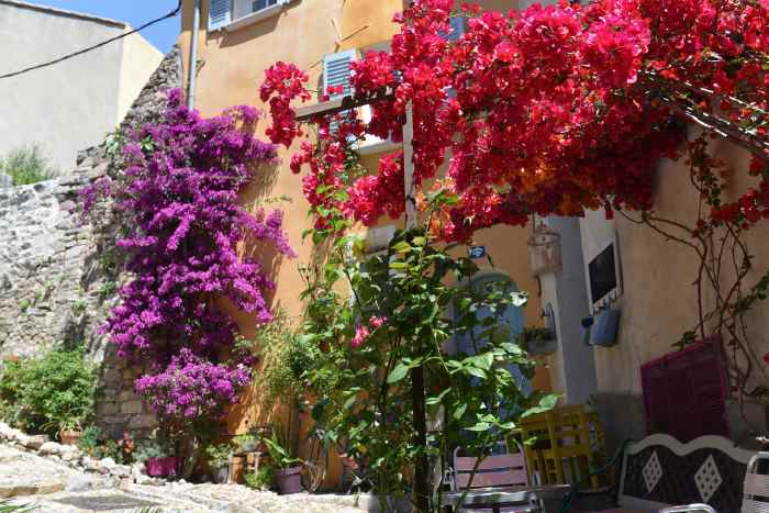 — Massifs de fleurs en façades — Hyères —