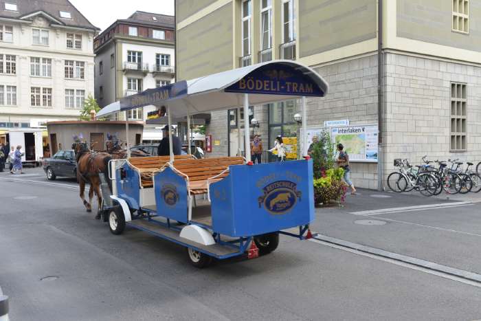 — Calèches pour touristes — Interlaken (CH) —