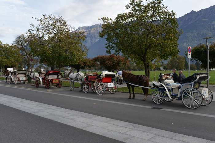 — Calèches pour touristes — Interlaken (CH) —