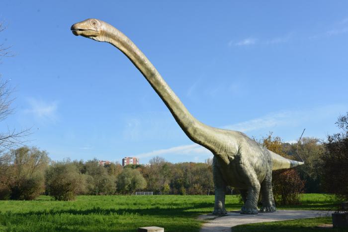 — Seismosaurus — Grün 80 — Münchenstein — Bâle/Basel —