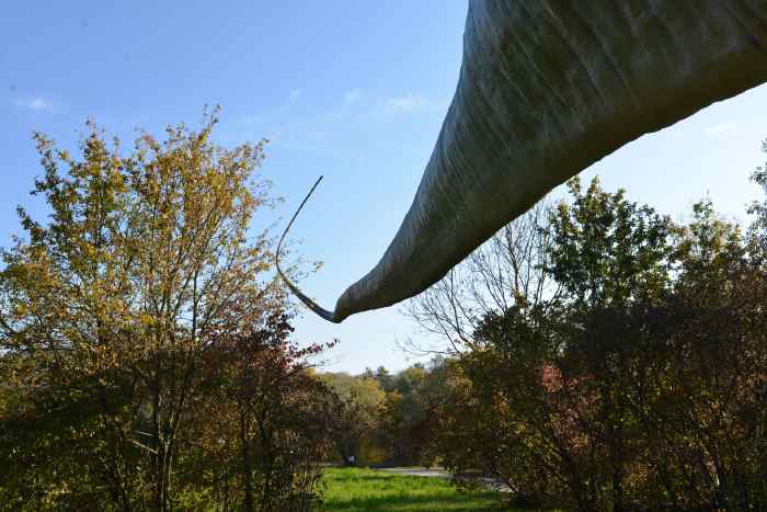 — Seismosaurus — Grün 80 — Münchenstein — Bâle/Basel —