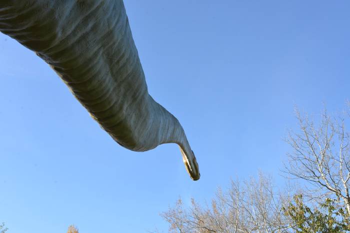 — Seismosaurus — Grün 80 — Münchenstein — Bâle/Basel —