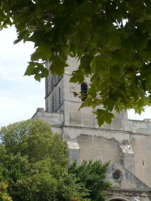 Cathédrale Notre-Dame-des-doms — Avignon