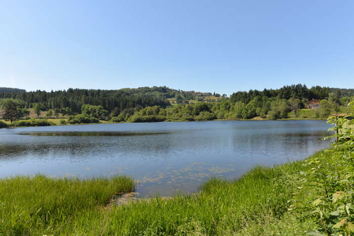 — Etang de Royon — Les Salles —