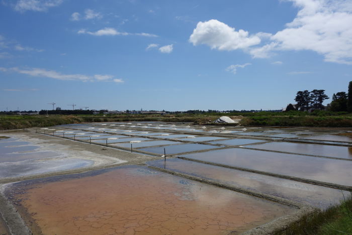 Marais salants — Guérande