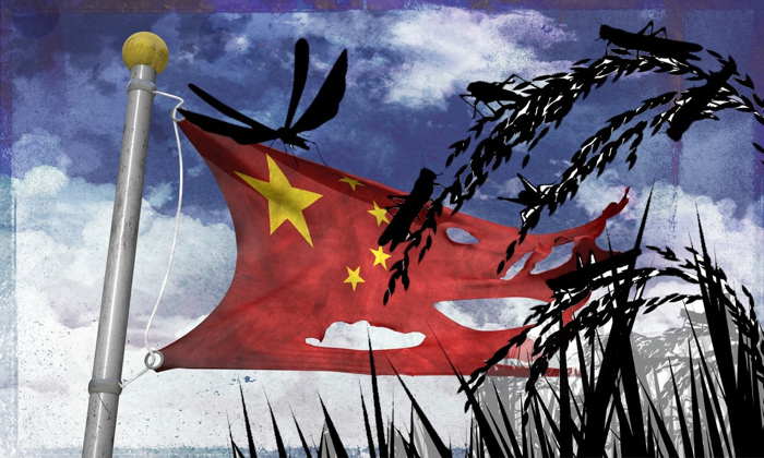 L'invasion de criquets a atteint la Chine