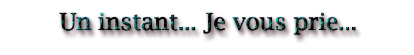 Un instant, je vous prie!