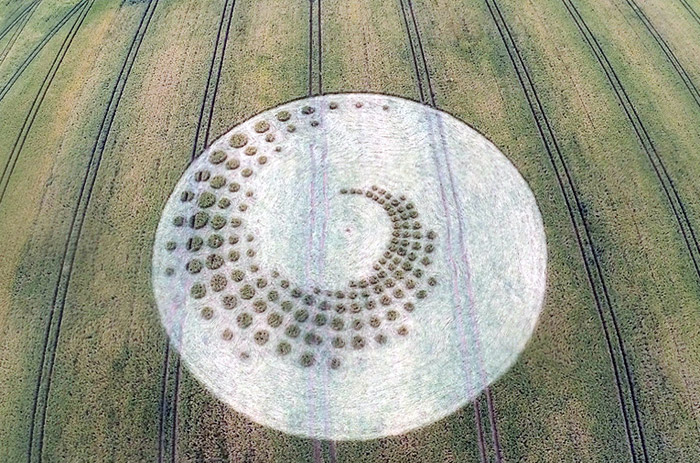 Formation d'un crop circle découvert le 16 Juillet 2014 à Forest Hill