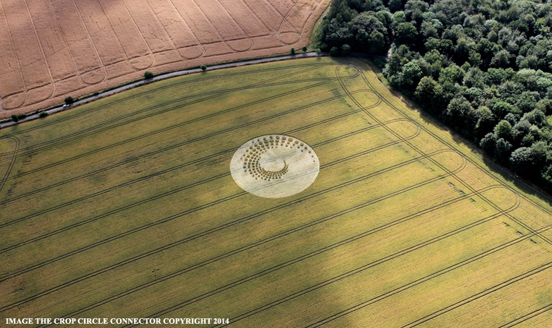 Formation d'un crop circle découvert le 16 Juillet 2014 à Forest Hill