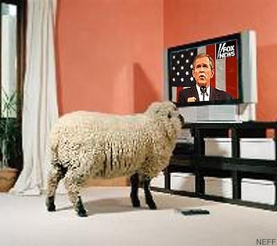 Bush et ses moutons