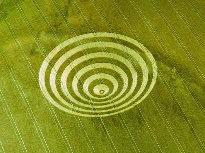 Crop circle en 3D