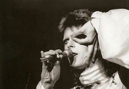 David Bowie  