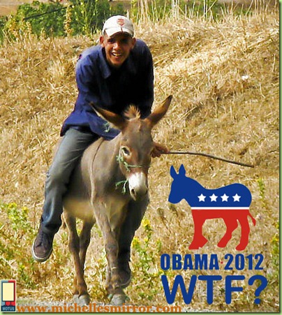 B.H.Obama sur un âne
