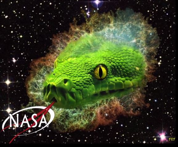 Nasa... un logo reptilien!