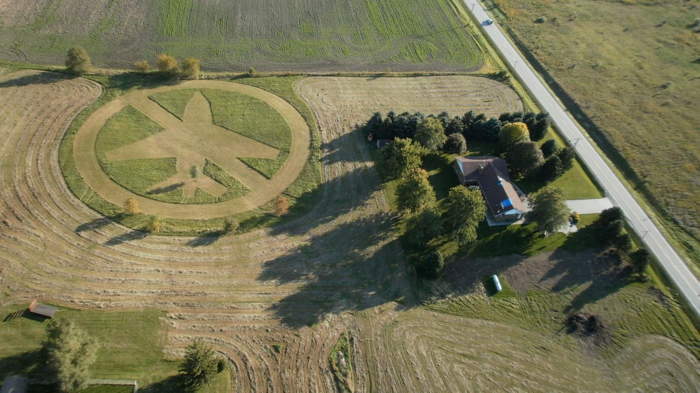 Crop circle fait de main d'homme sur la ZAD de Notre-Dame-des-Landes