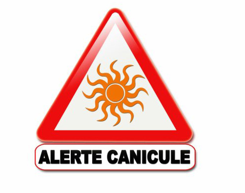 numéro "vert" information canicule 0800 06 66 66 Alerte canicule 
