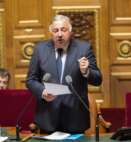 Gérard Larcher, Président du Sénat