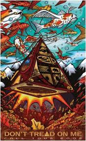 couvertures d'albums et de posters du groupe 311