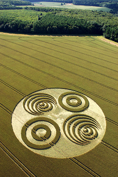 Crop circle du 08/07/2006