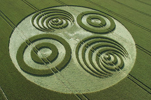 Crop circle du 08/07/2006