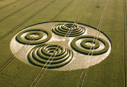 Crop circle du 08/07/2006